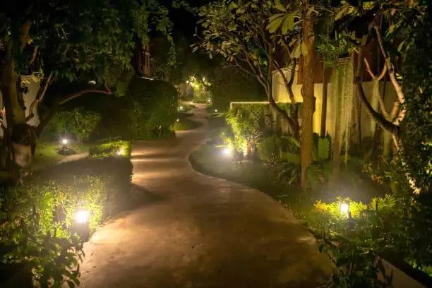 Pathway Lighting in Houston installed by Pearce Scapes