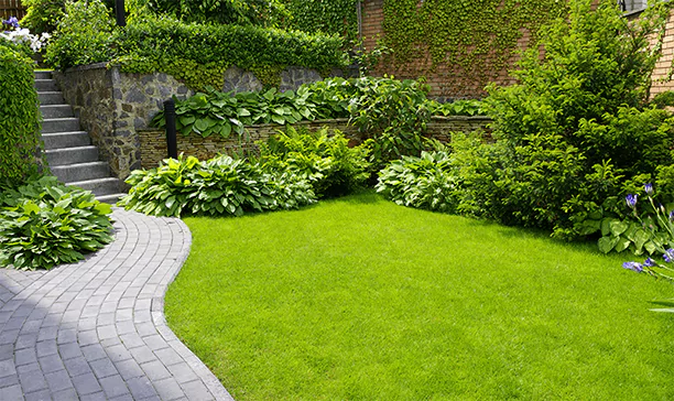 A very beautiful green lawn a side of a walkway