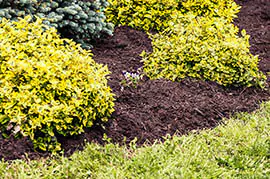 Mulch installed in a garden