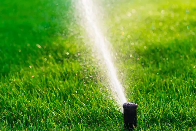 Sprinkler system installed in a green lawn and watering properly - Irrigation Services