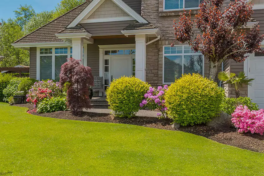 A green beautiful landscape maintained properly