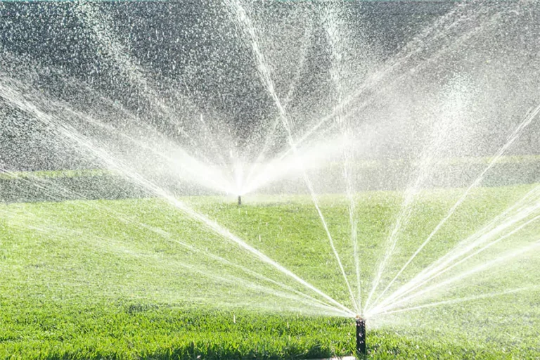 watering with sprinkler system in a lawn