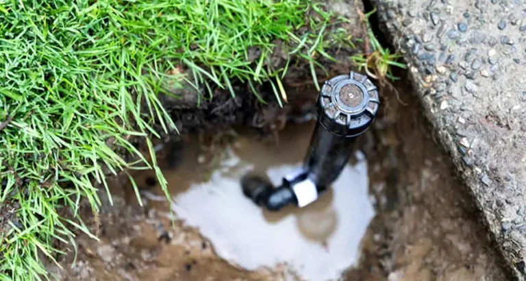 Need sprinkler system repair in a green lawn