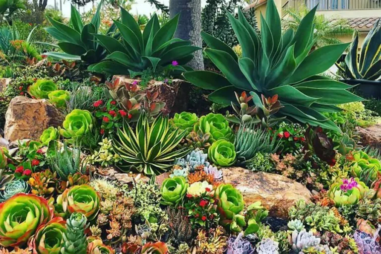 The Best Plants and Materials for Your Cypress, Tx Landscape Design