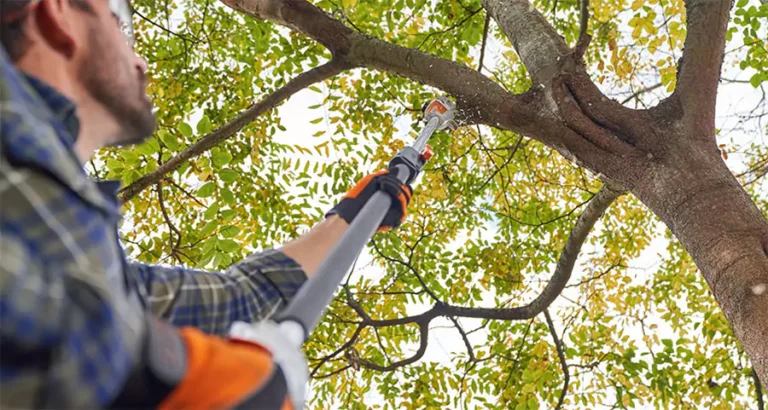 A person trimming tree branches with a pole saw, highlighting common tree trimming issues in Cypress, TX HOAs.