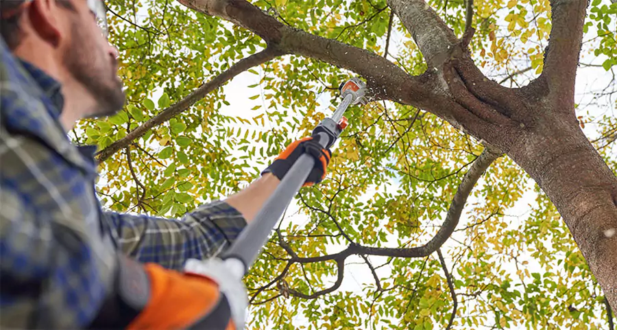 A person trimming tree branches with a pole saw, highlighting common tree trimming issues in Cypress, TX HOAs.