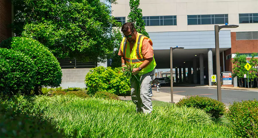 A professional worker conducting commercial ground maintenance in Houston, TX.