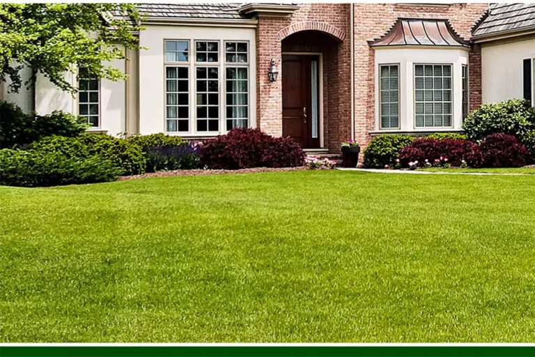 Lush green lawn with a well-maintained landscape in front of a modern brick home, showcasing professional landscaping in Houston, TX. Seasonal lawn care for a vibrant yard.