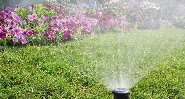 Sprinkler system watering a green lawn and vibrant flower bed during spring irrigation startup