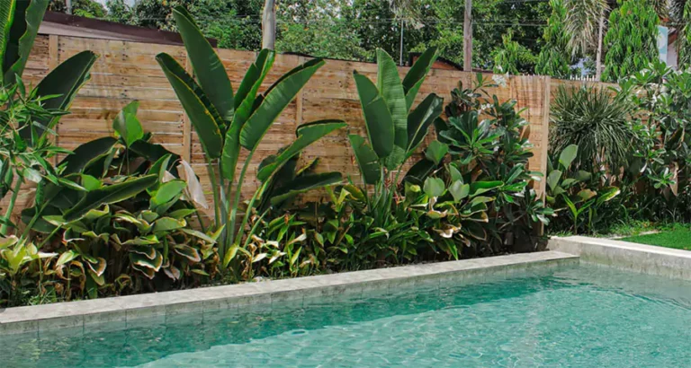 Eco-friendly Houston landscaping with native plants surrounding a pool, featuring lush greenery and privacy fencing for a serene backyard atmosphere.