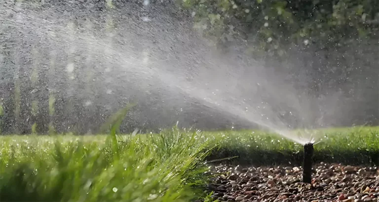 Sprinkler system spraying water over a well-maintained lawn, highlighting common issues causing overwatering in Houston lawns
