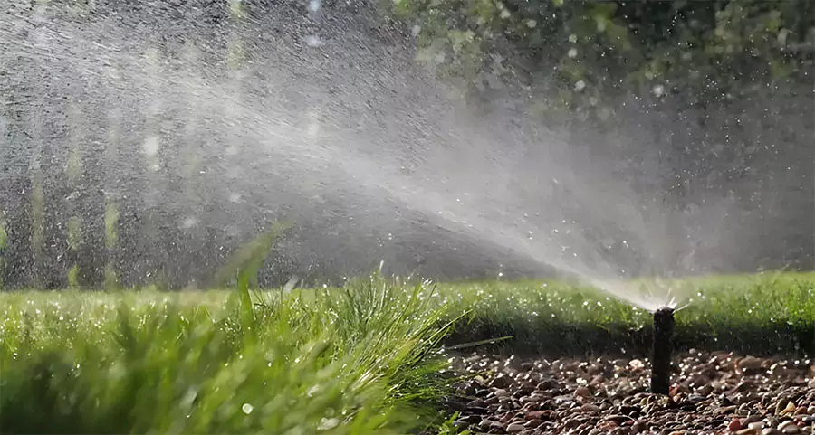 Sprinkler system spraying water over a well-maintained lawn, highlighting common issues causing overwatering in Houston lawns
