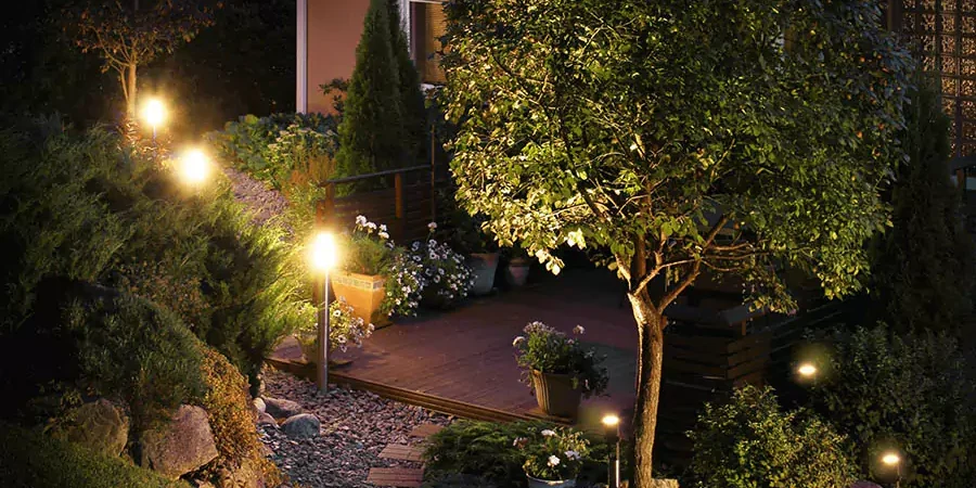 Green plants with pathway lighting