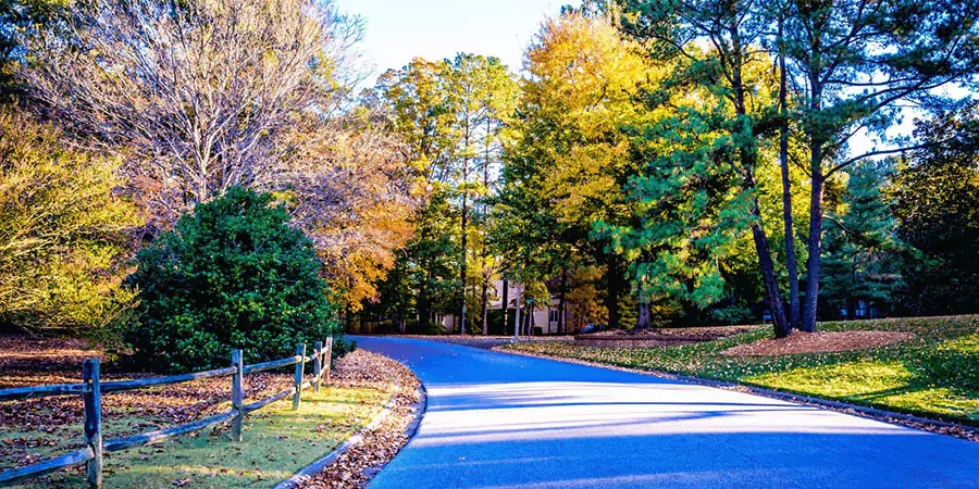 HOA Maintenance 1 A walkway and lots of big trees