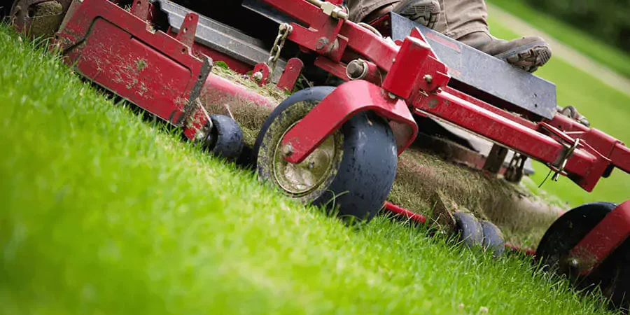 Green landscape and a red lawn mowing machine