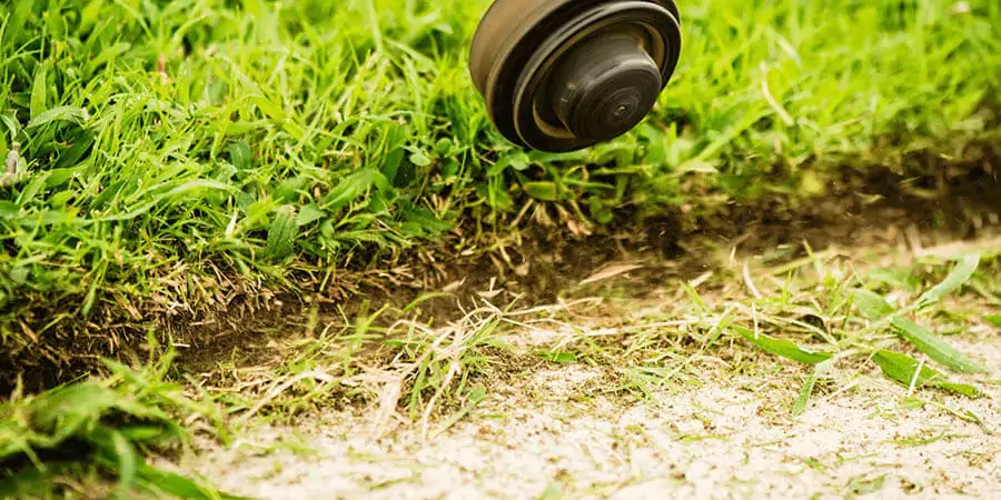 Lawn Mowing 2 Green grass
