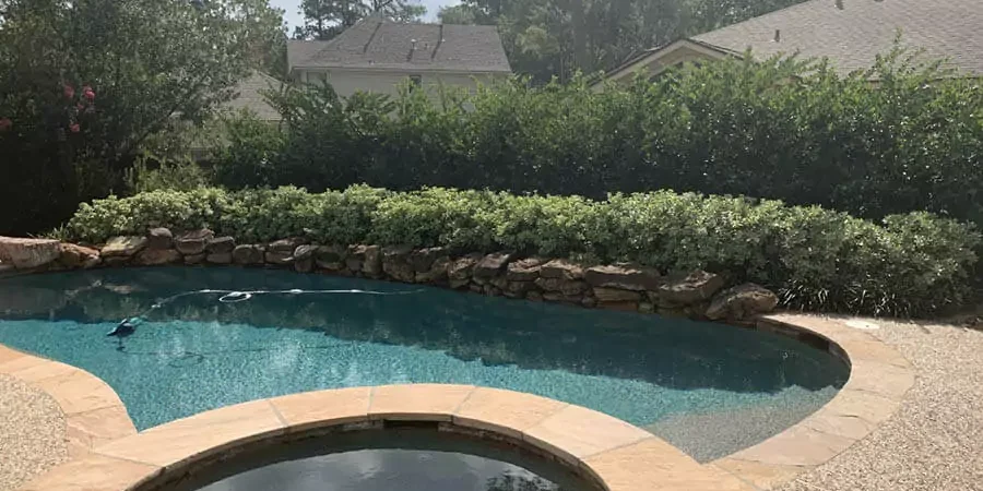 pool and green trees